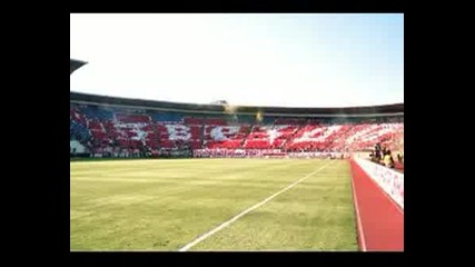 The Best Fans In The World (part 4)