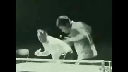 Bruce Lees Kung Fu Ping - Pong