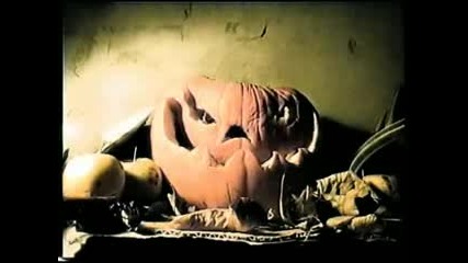 Rotting Halloween Pumpkin Time Lapse