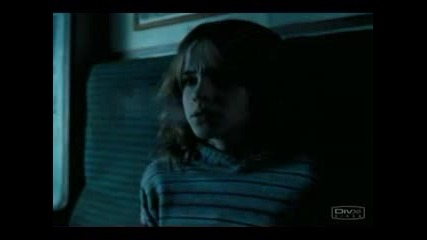 The Beautiful People Harry Potter