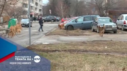 В Разследване в Темата на NOVA на 12 февруари очаквайте