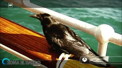 En el proximo capitulo de El Barco ; 1x05 El graznido