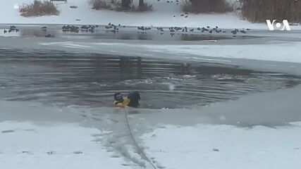 Пожарникар от Юта спаси куче от замръзнало езеро