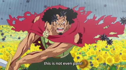 One Piece Episode 717 english subs 1080p