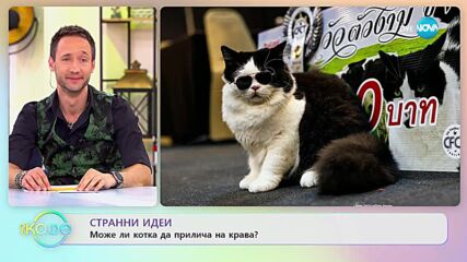 Добри идеи: Как дългият уикенд влияе на климата? - „На кафе” (07.03.2023)