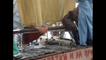 2008