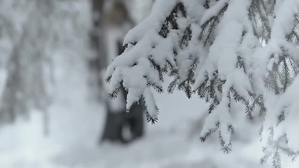 Наталья Подольская - Зима