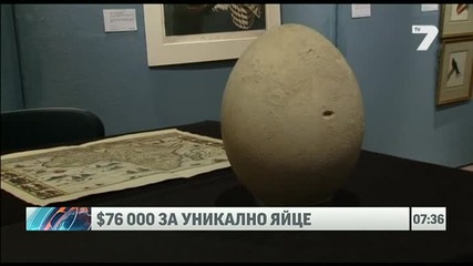 $76 000 за яйце на 400 години News7