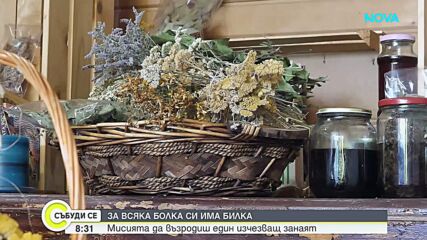 За всяка болка си има билка: Мисията да възродиш един изчезващ занаят
