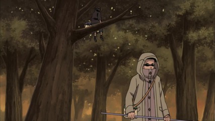 Naruto Shippuuden - 317 Eng Subs