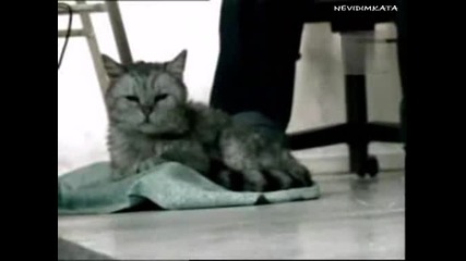 Намери Им Точното Място! 