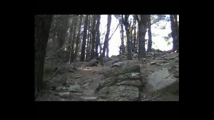 Mountain Bike.avi
