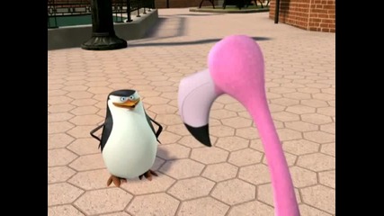 The Penguins Of Madagascar - Go fish