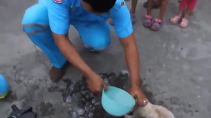 Спасяване на малко кученце заклещено в стоманена тръба