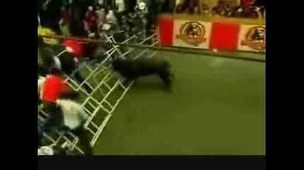 Да се смееш ли, да плачеш ли ... ? 