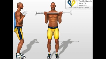 uroci - - biceps 