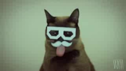 Stereo Skifcha ( Dubstep Cat) Hdd