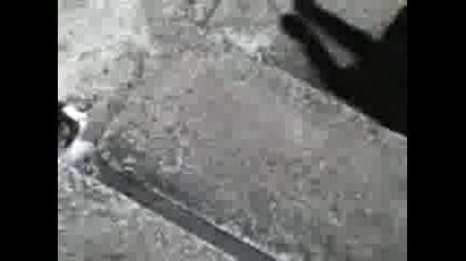 Kotki Idioti