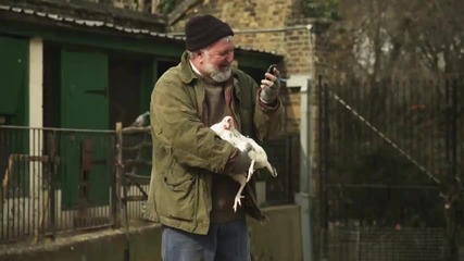 Google Translate for Animals - 1 