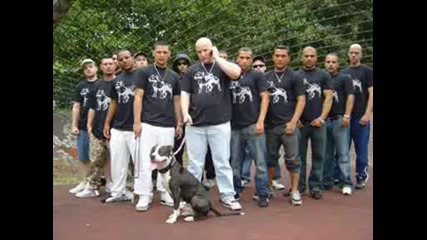 Automatikk Ft. Bass Sultan Hengzt - Biss In Den Tod