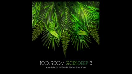 toolroom goes deep 3 cd2