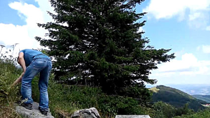 VID_20150715_120114