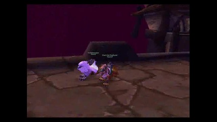 World Of Warcraft - Dragonfire - Zaci