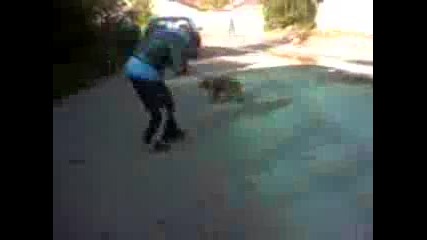 не на насилието (no violence) 