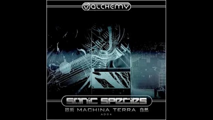 Sonic species-infinity