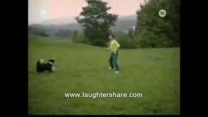 Много Смешно Видео