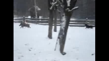 Обучение В Гатер