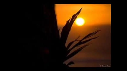 Deep & Wide — Seven Seas