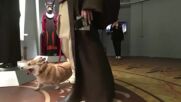 Коргита с костюми на джедаи „превзеха” Москва (ВИДЕО)