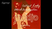 Phunk Investigation vs. Modjo - Critical Lady ( Jay C Bootleg ) [high quality]