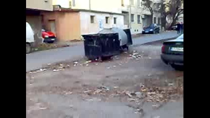 Прасе Се Разхожда В Центъра На Гр.раднево