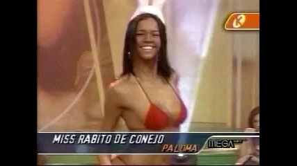 Секси маце много сладко зайче в бразилската телевизия 