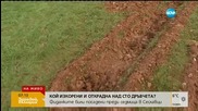 Кой изкорени и открадна 100 фиданки?