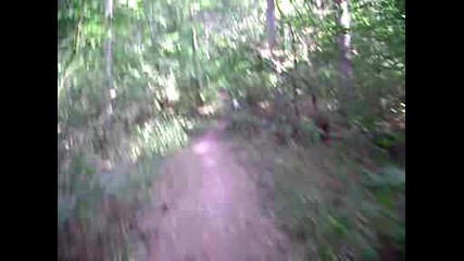 Mov00252.avi