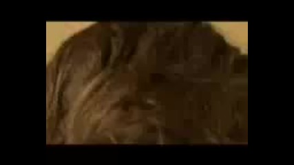 Внимавай с кой излизаш! 