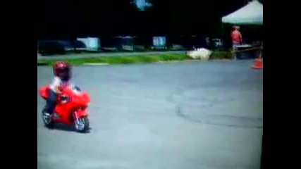 Unbelievable! Kids Stunting on Pocket Bike!