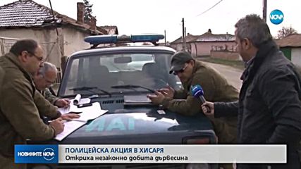 Откриха незаконно добита дървесина в Хисаря