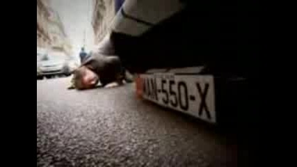 Top Gear