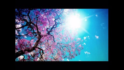..: Minimal :.. ___ Danalog ___baked Beams___ {original mix}