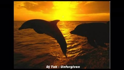 Dj Tab - Unforgiven(1)