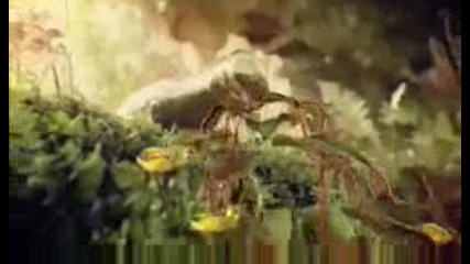 Готина Реклама На Coca - Cola