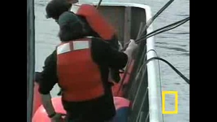 Земетресение В Сиатъл