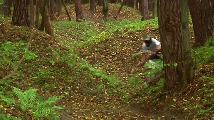 Ride Your Way - Remek Oleszkiewicz Freeride