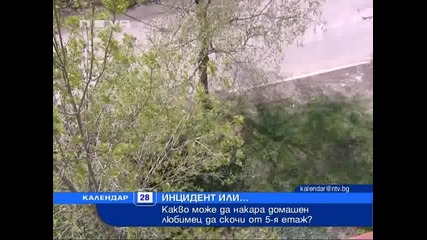 Поредното зловещо отношение към куче -