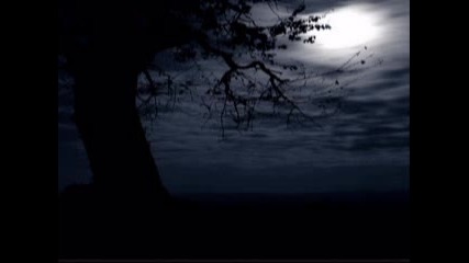 Sting - In The Moonlight