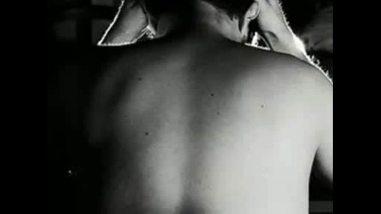 Thomas Newman - American Beauty (music From...)